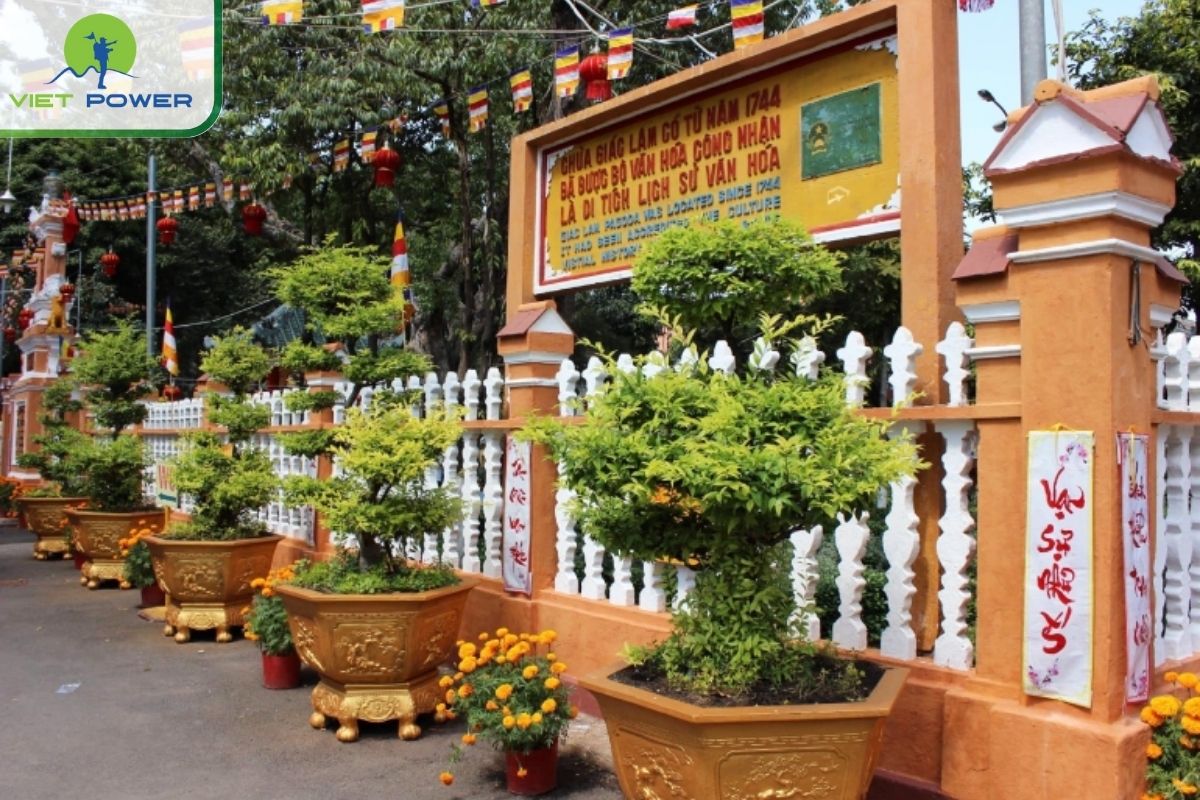 History of Giac Lam Pagoda