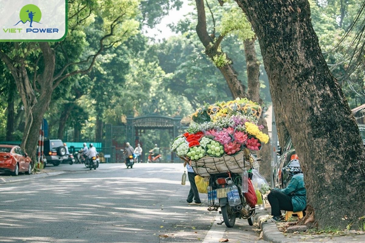Take pictures with lotus car in autumn in Hanoi