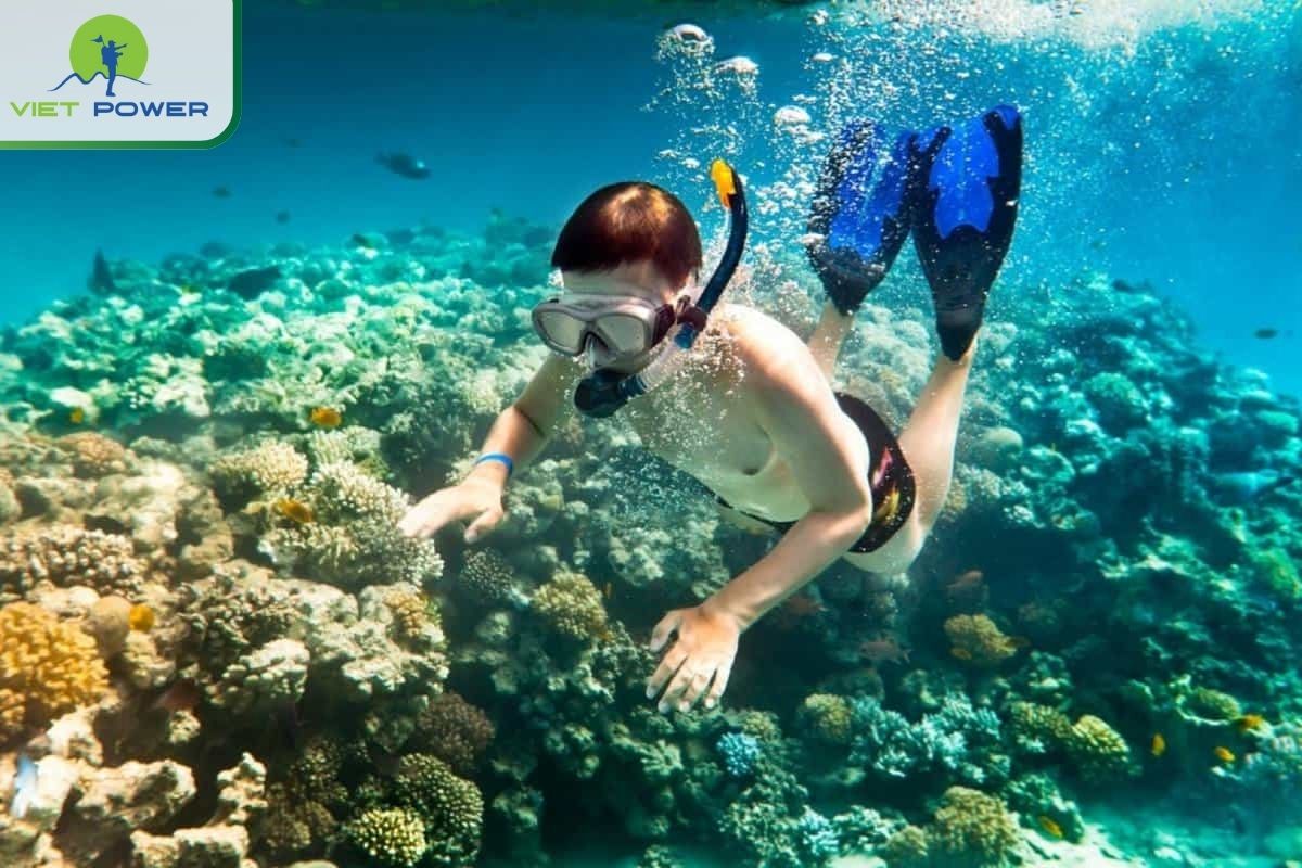 Snorkeling at Son Tra to avoid the June heat in Da Nang