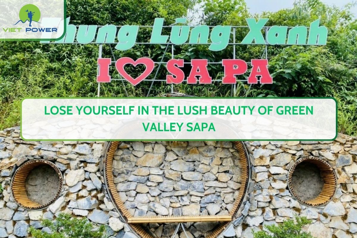 Lose Yourself in the Lush Beauty of Green Valley Sapa