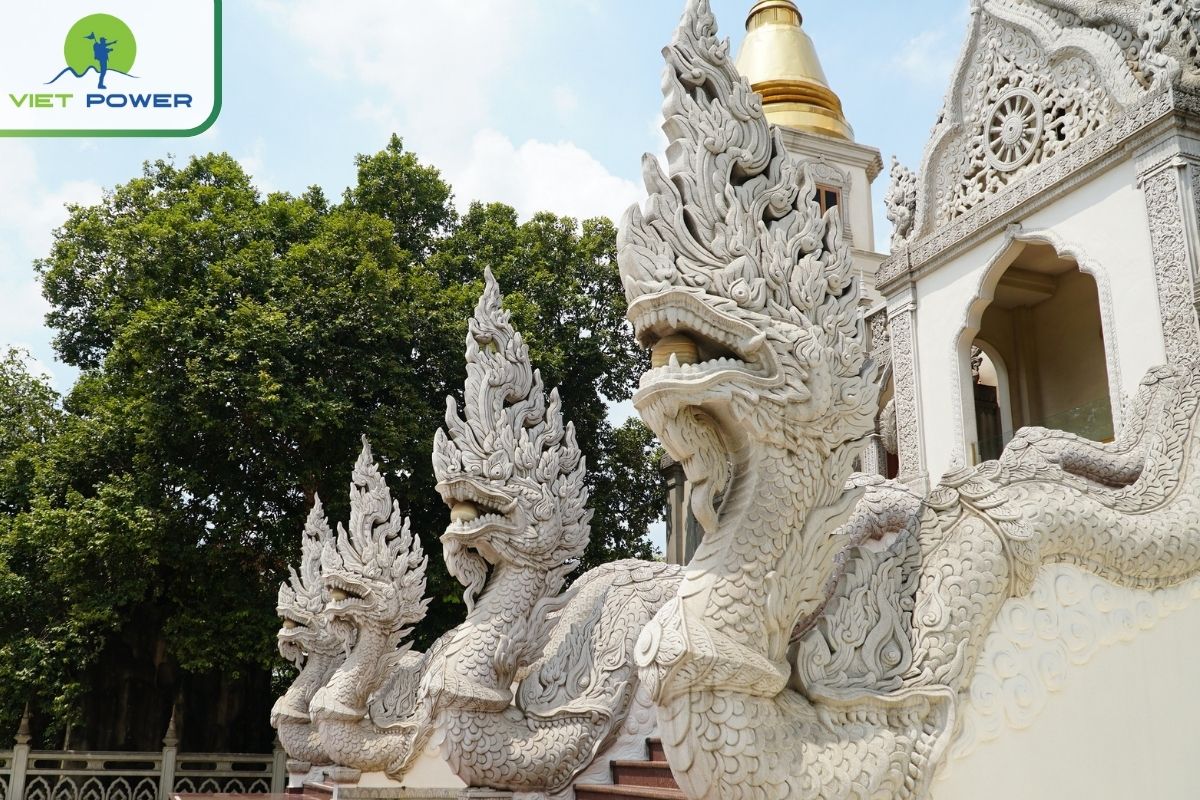 Exquisite dragon carvings at Buu Long Pagoda