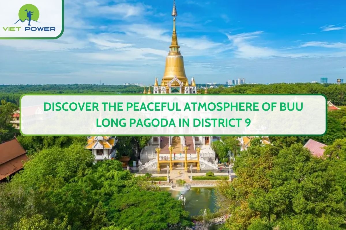 Discover the Peaceful Atmosphere of Buu Long Pagoda in District 9