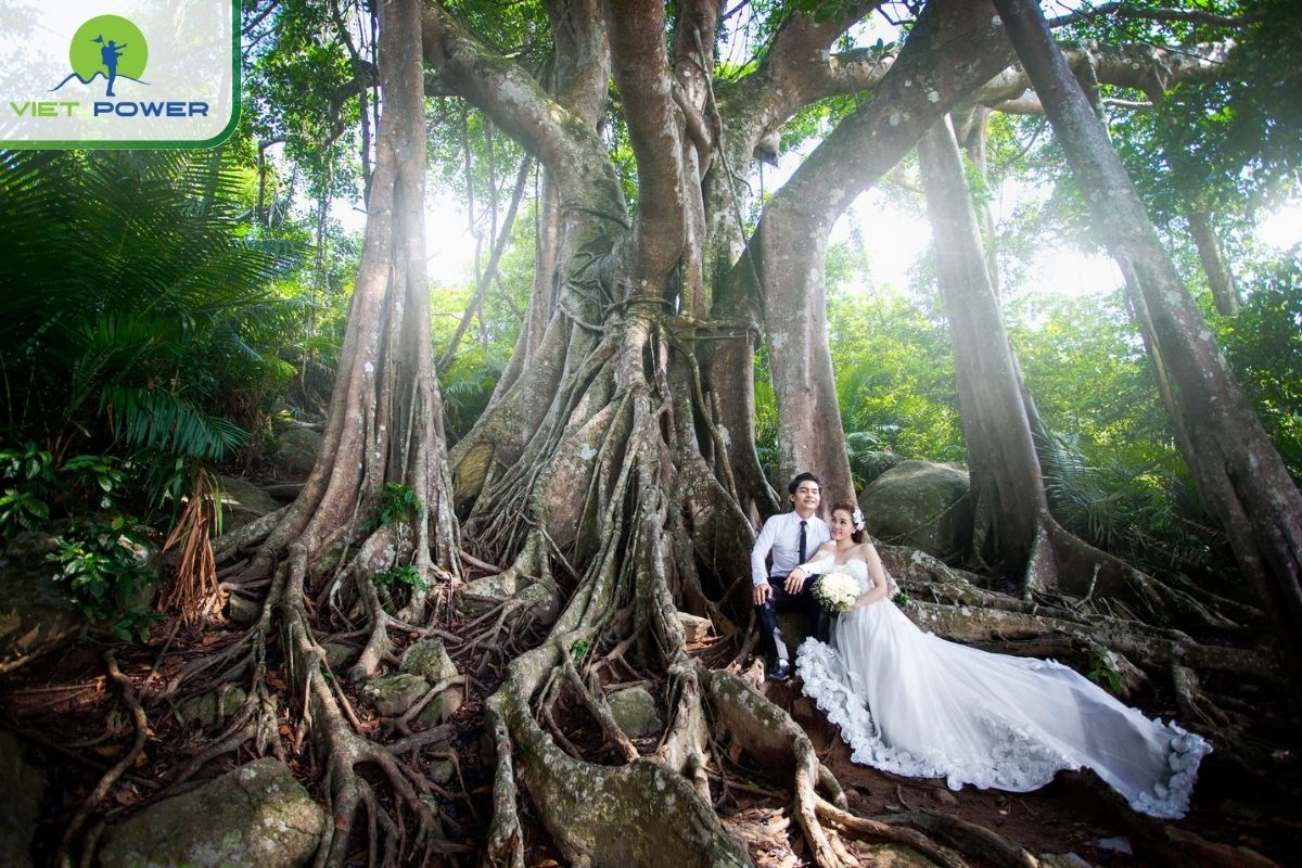Wedding photoshoot under the blessing of lasting love