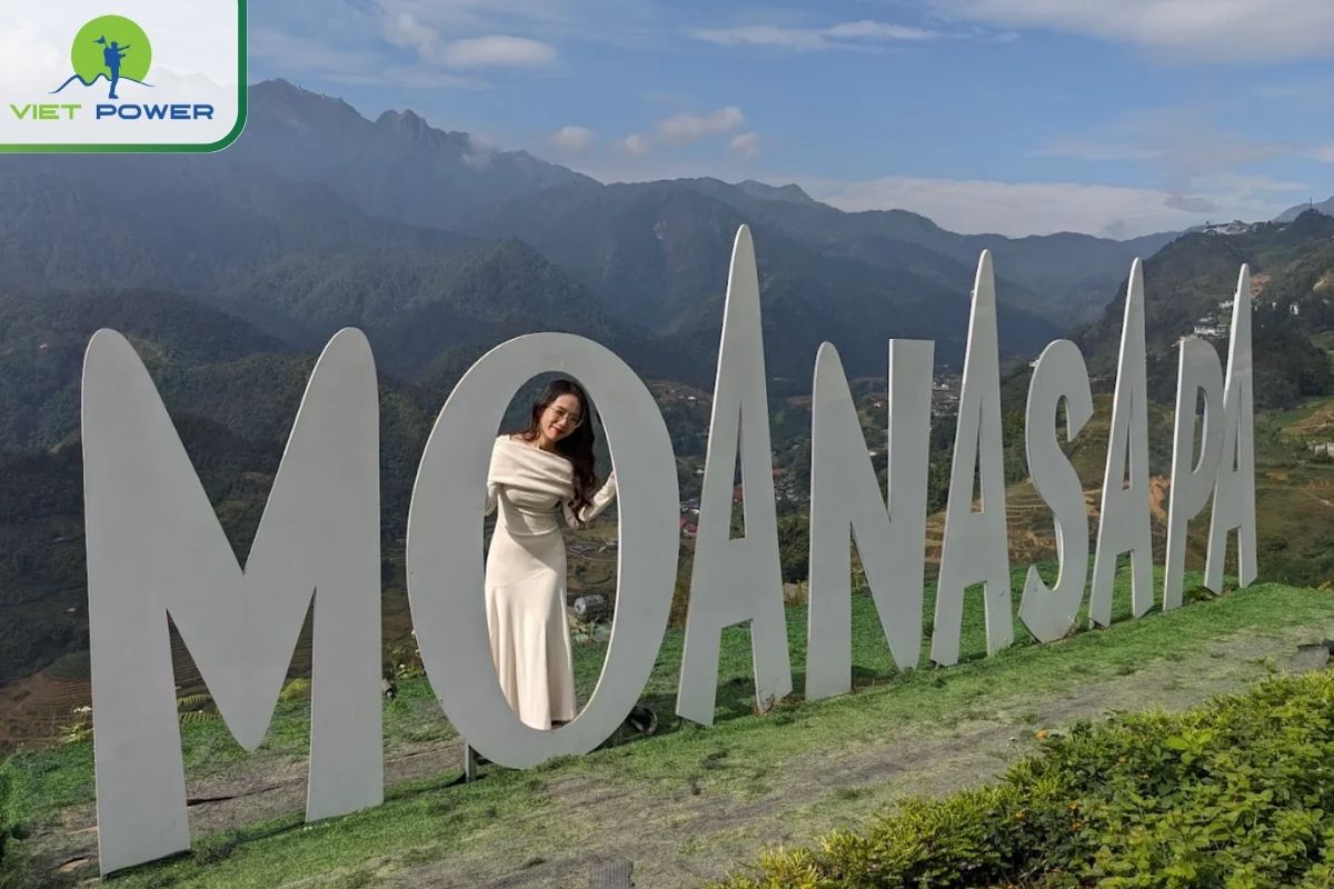 “MOANA Sapa” Logo Letters