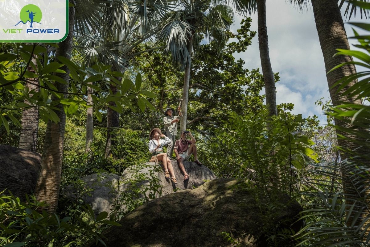 Join a red-shanked douc langur expedition led by a resort zoologist