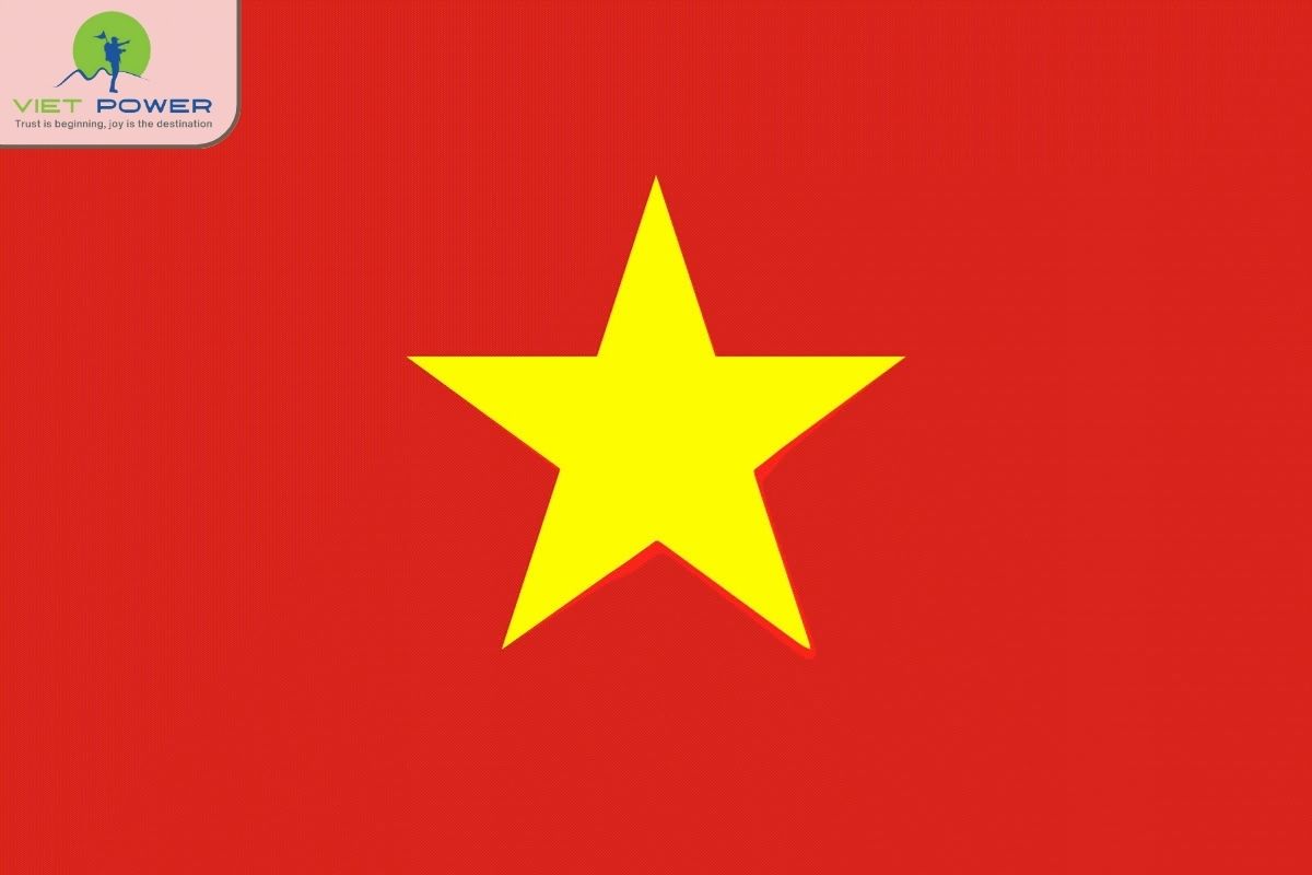 (4) colors and flowers