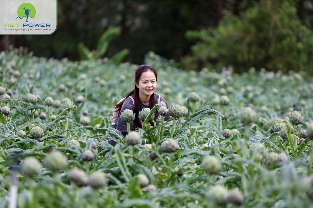 (7) Cycling Tour Da Lat to Nha Trang
