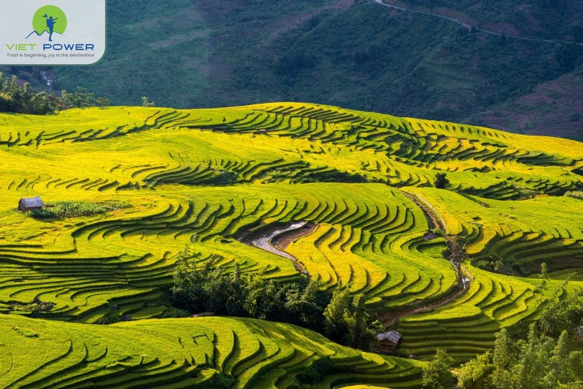 (7) Mountain In Northern Vietnam