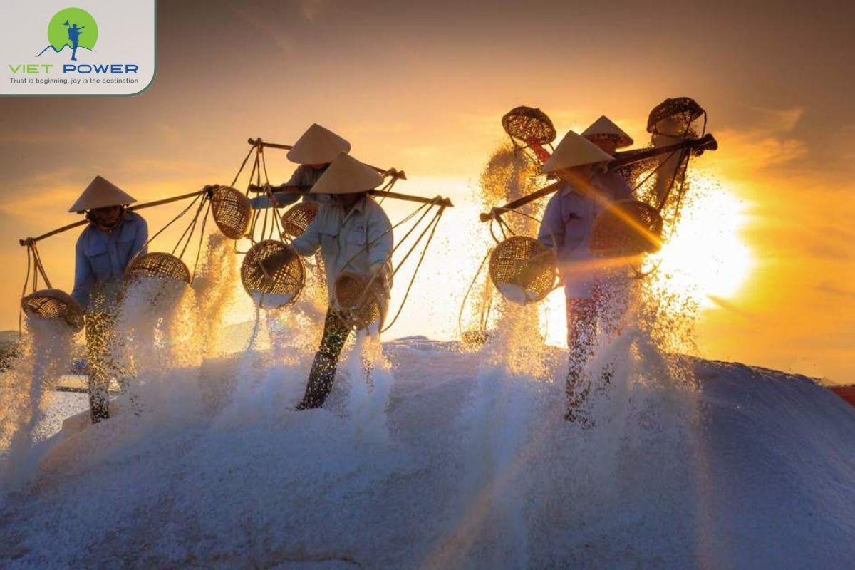 (7) Unnormal Landscapes