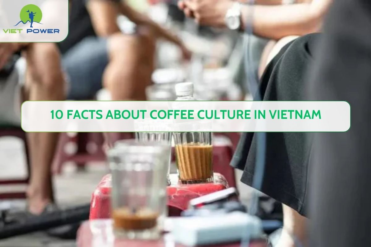 10 Facts About Coffee Culture in Vietnam