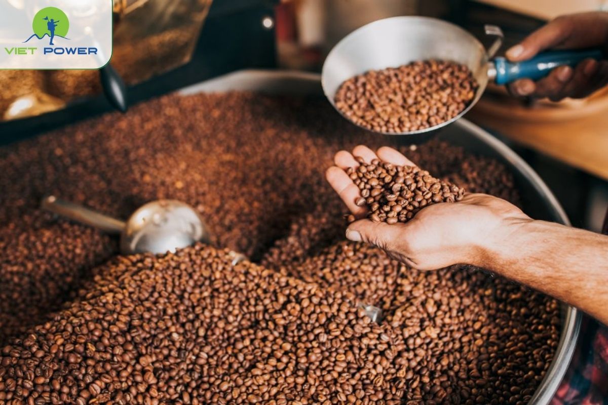 From Beans to Cups — Color, Consistency, and Craftsmanship