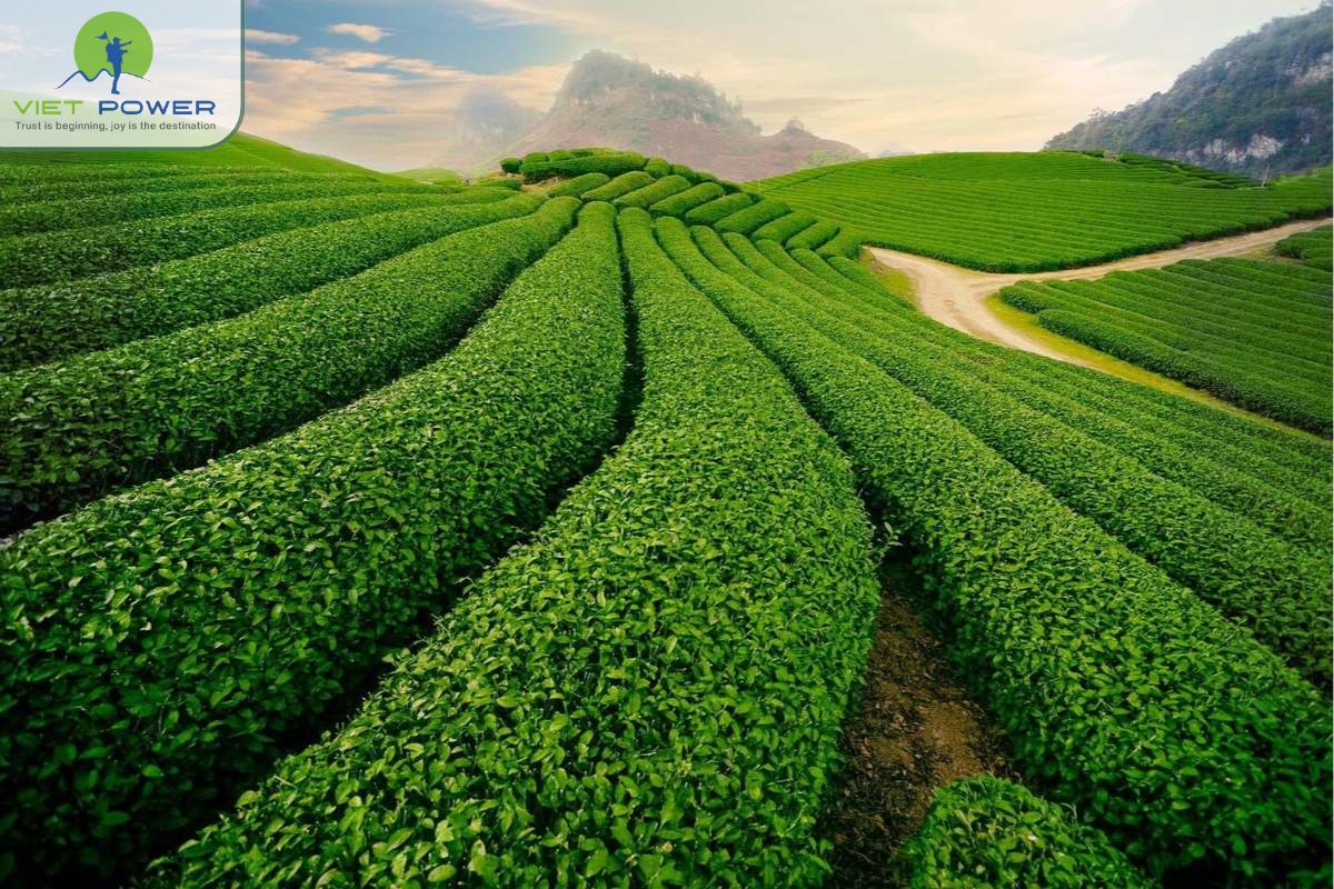 A peaceful highland destination