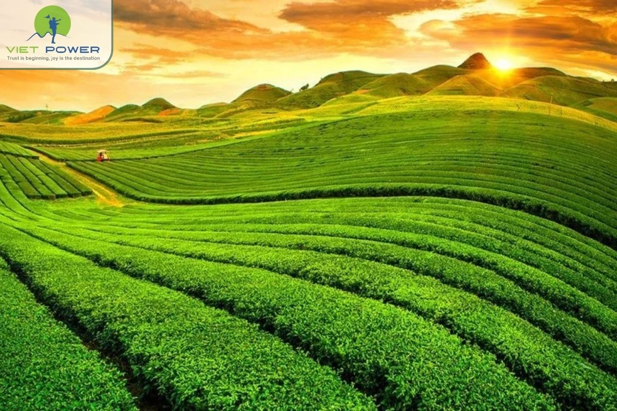 A tranquil summer atmosphere