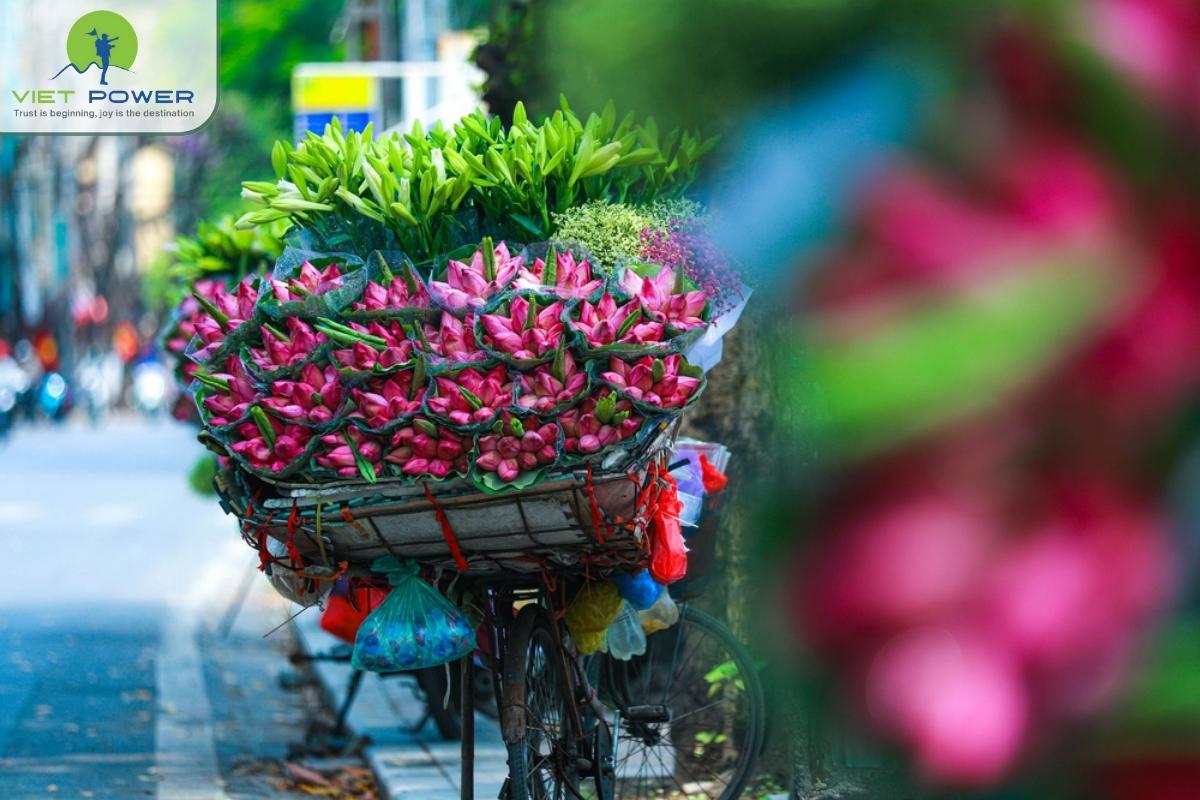 August-weather-in-Hanoi (3)