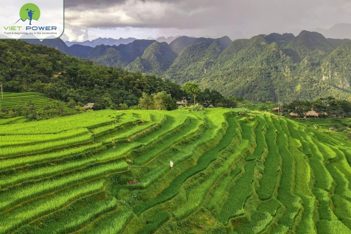 Authentic homestays and local experiences