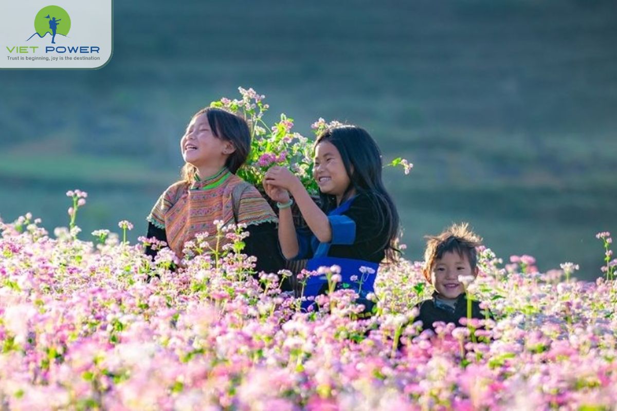 Best Season for Dong Van Karst Plateau Trekking