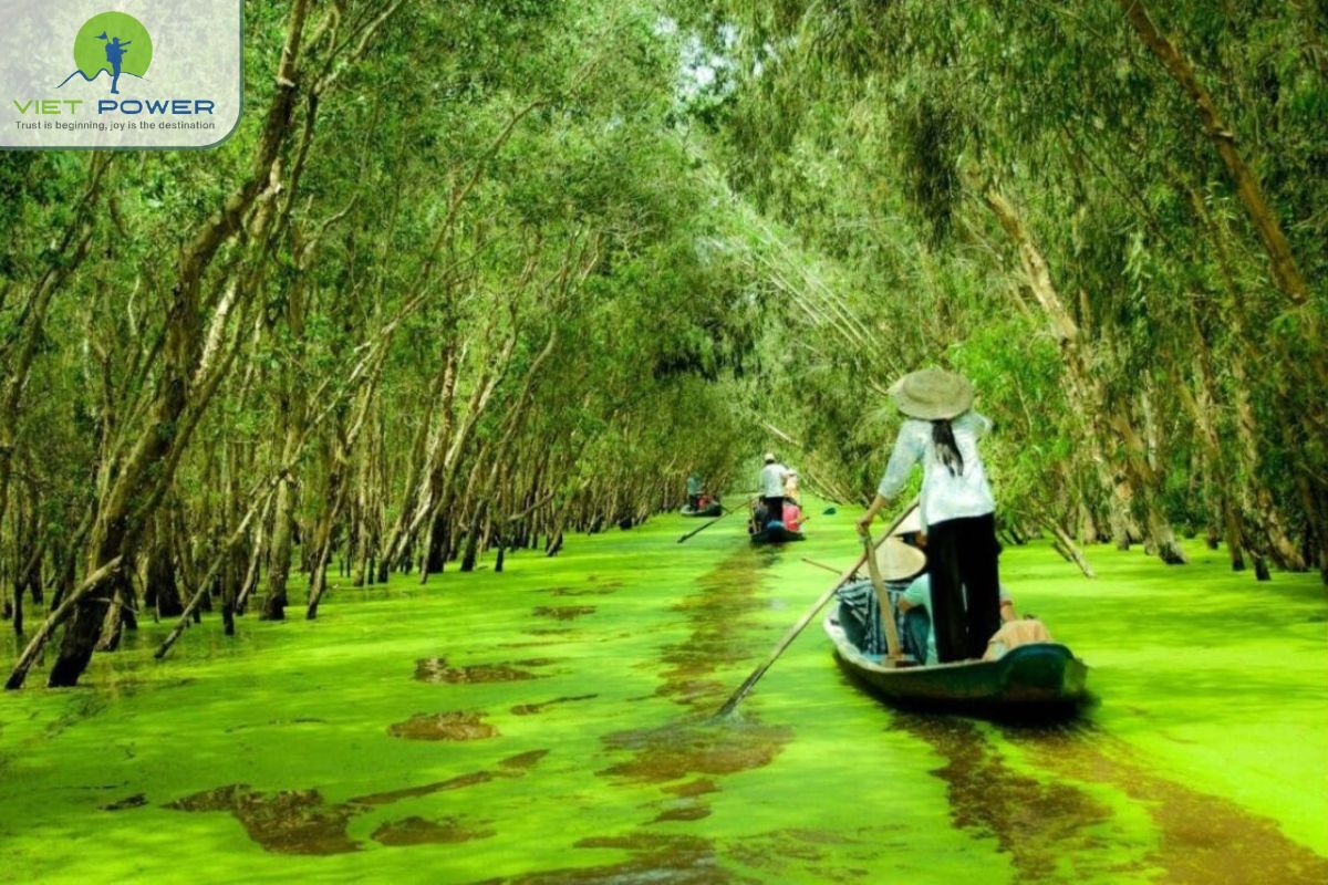 Best Time to Visit U Minh National Park