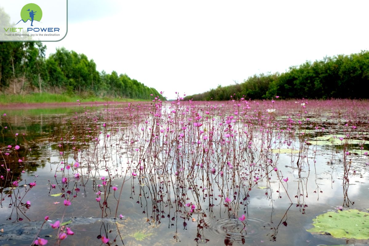 Best time for birdwatching in Tram Chim