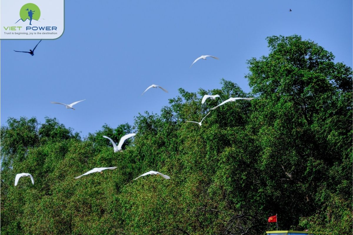 Birdlife and biodiversity