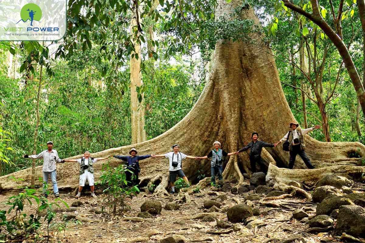 Cat-Tien-National-Park (4)