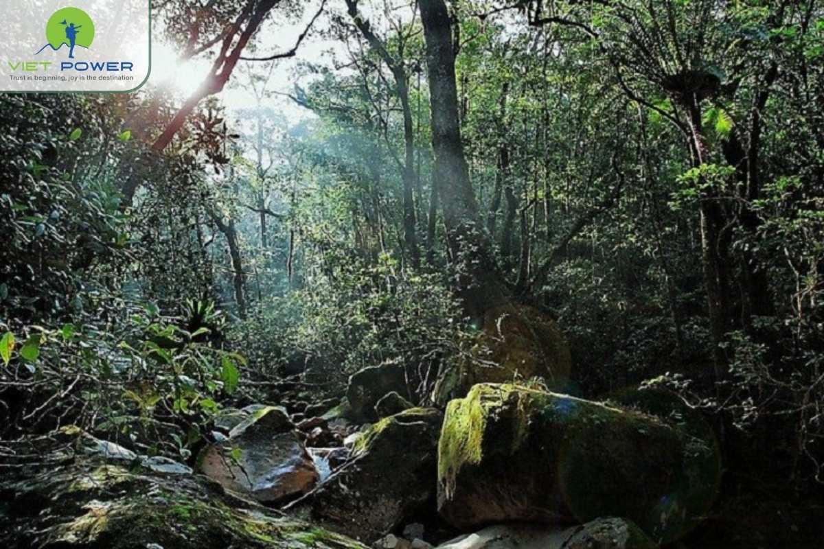 Chu-Yang-Sin-Mountain (2)