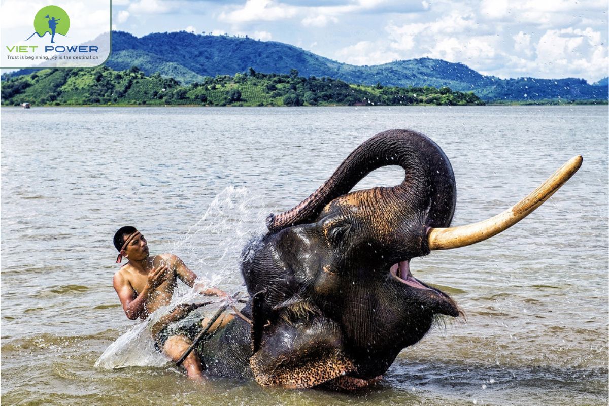 Climate and environment differences