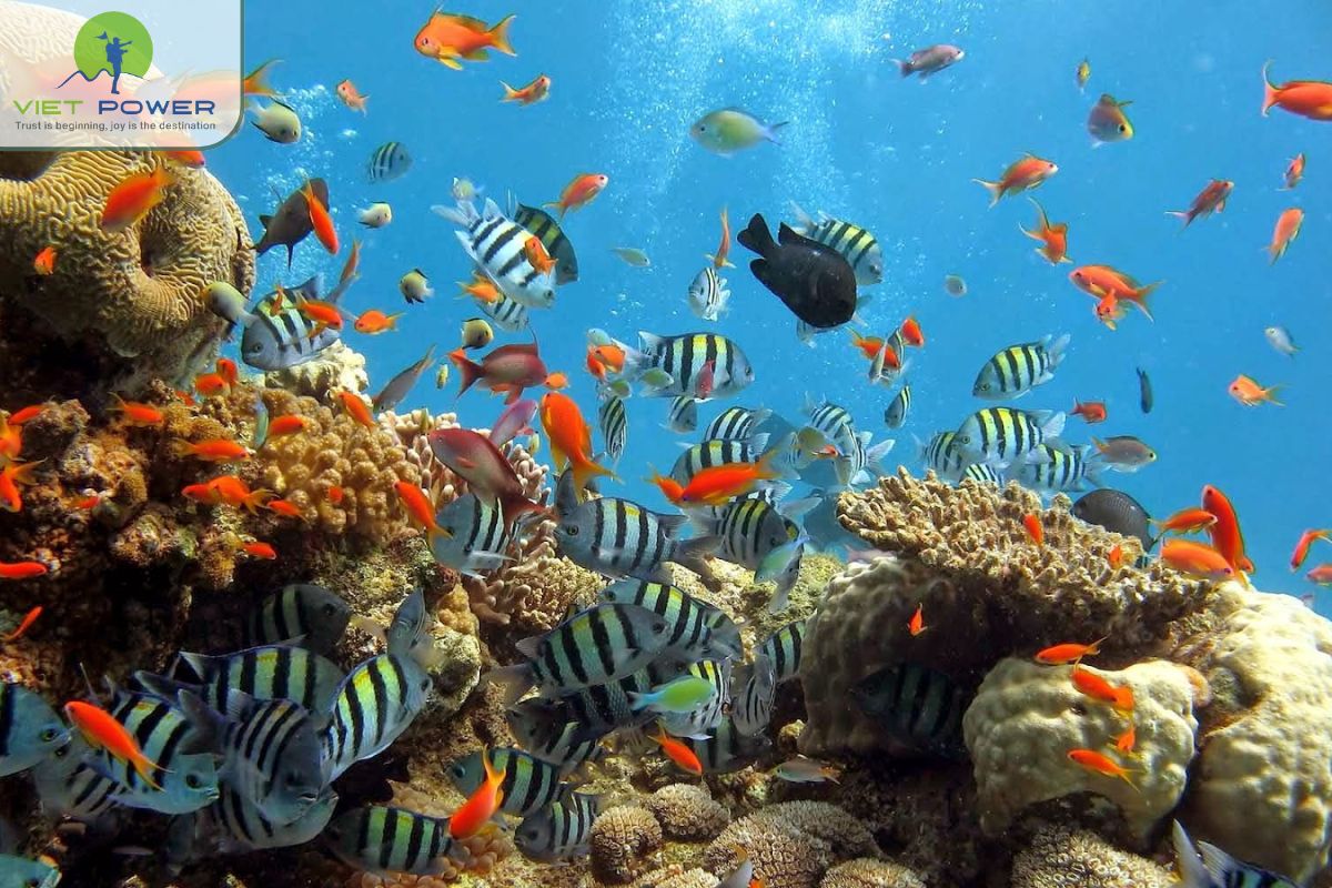 Con Dao in February (9)