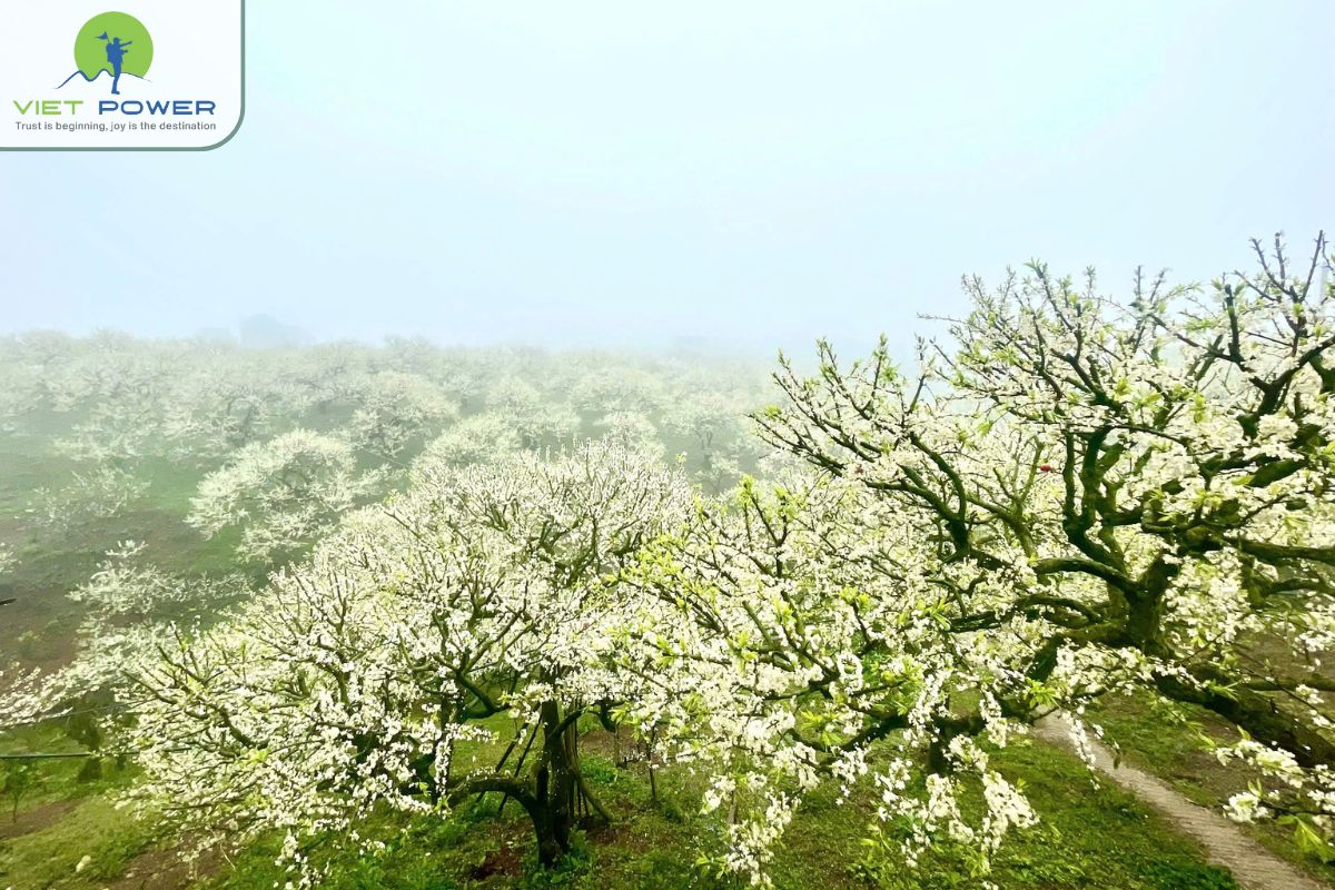 Cooler temperatures and fresh air