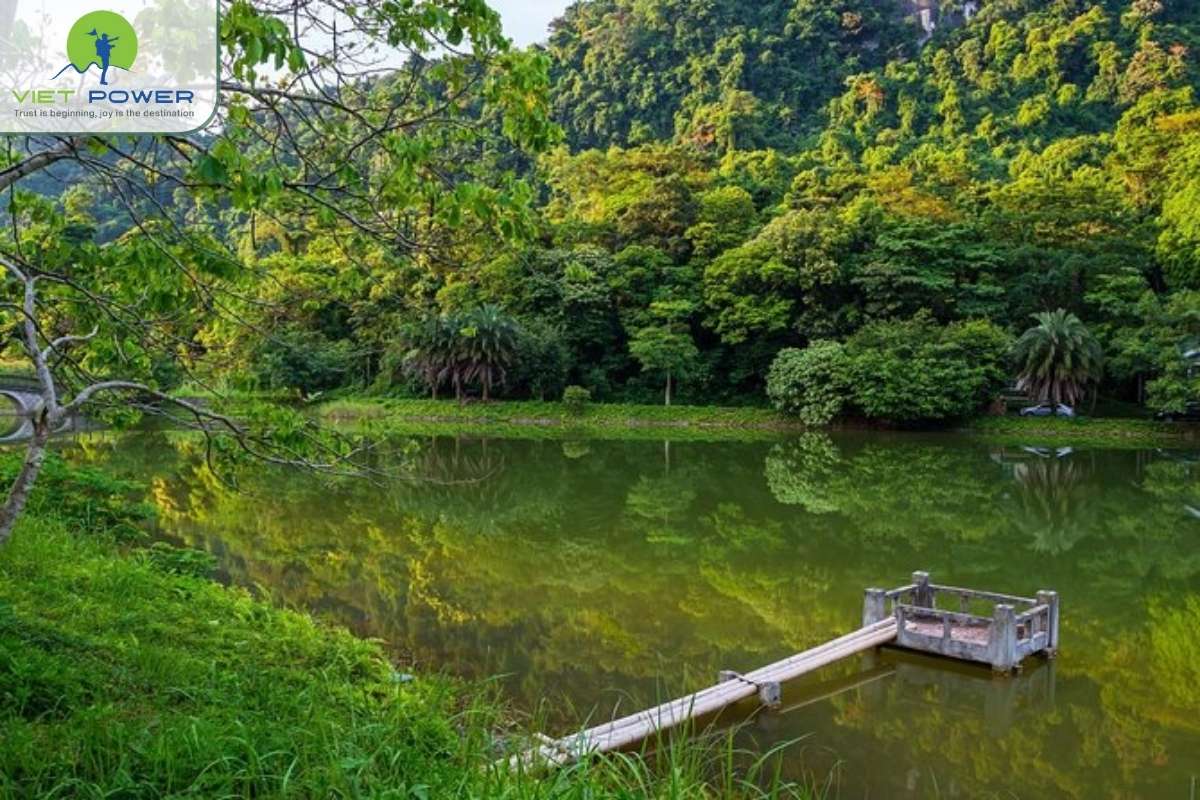 Cuc-Phuong-National-Park (5)