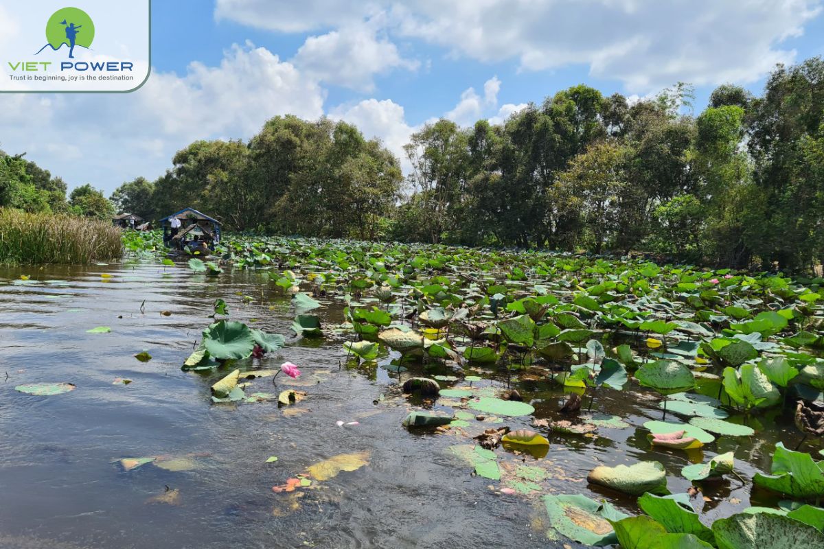 Differences in ecosystem