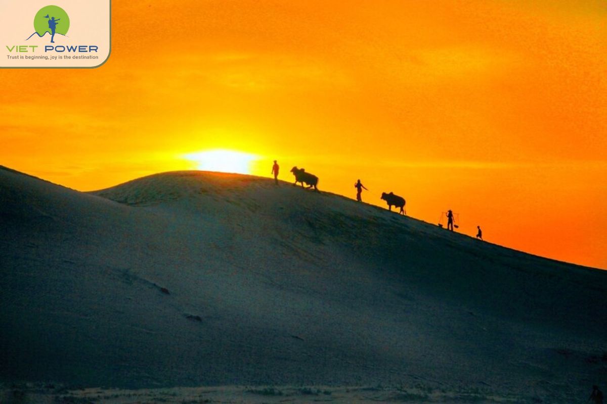 Dunes in Vietnam (15)