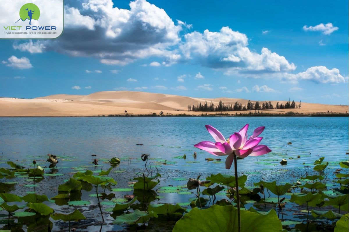Dunes in Vietnam (8)