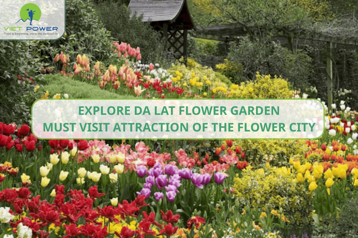 Explore Da Lat Flower Garden: Must Visit Attraction of the Flower City