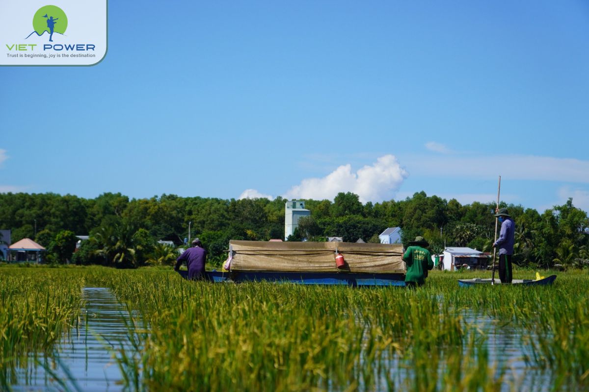 Floating Landscapes in Vietnam (10)