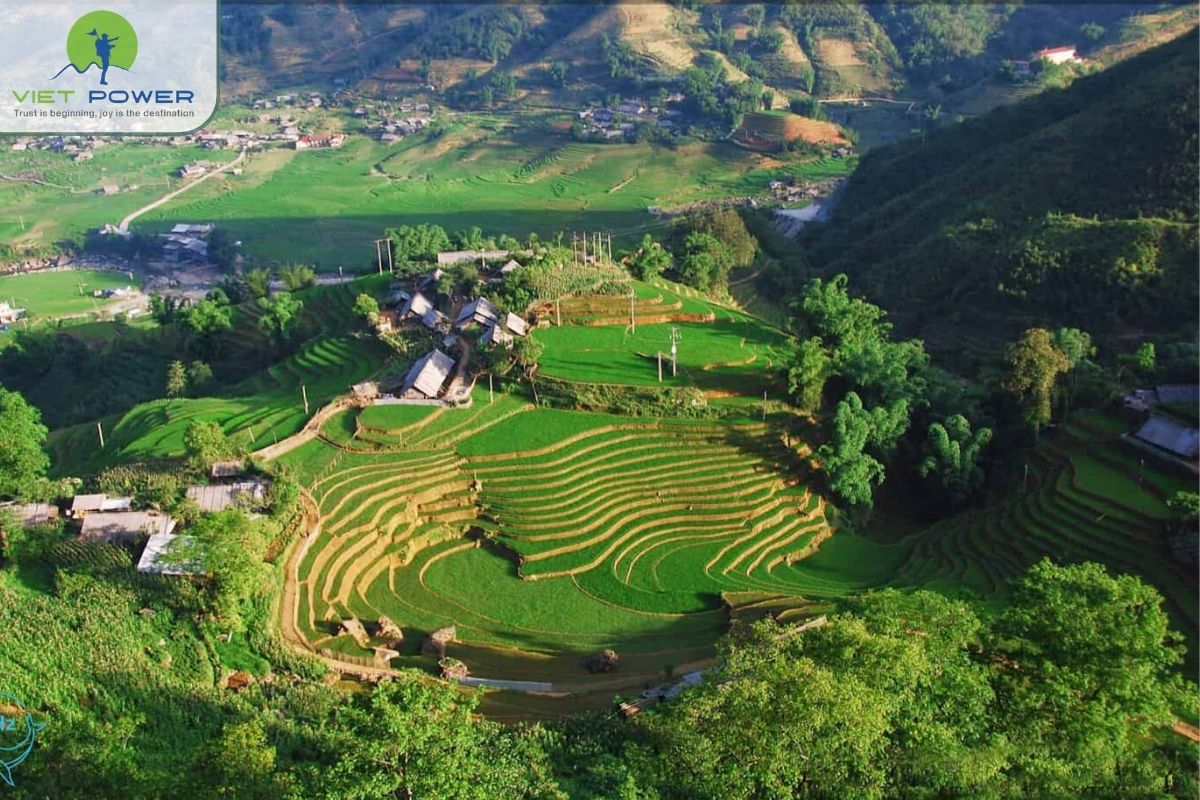 Homestay Experience in Sapa Valley