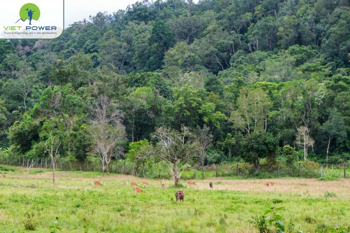 Kon-Ka-Kinh-Mountains (3)