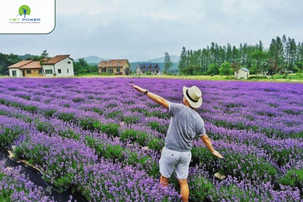 Main Highlights and Attractions Inside the Da Lat Garden