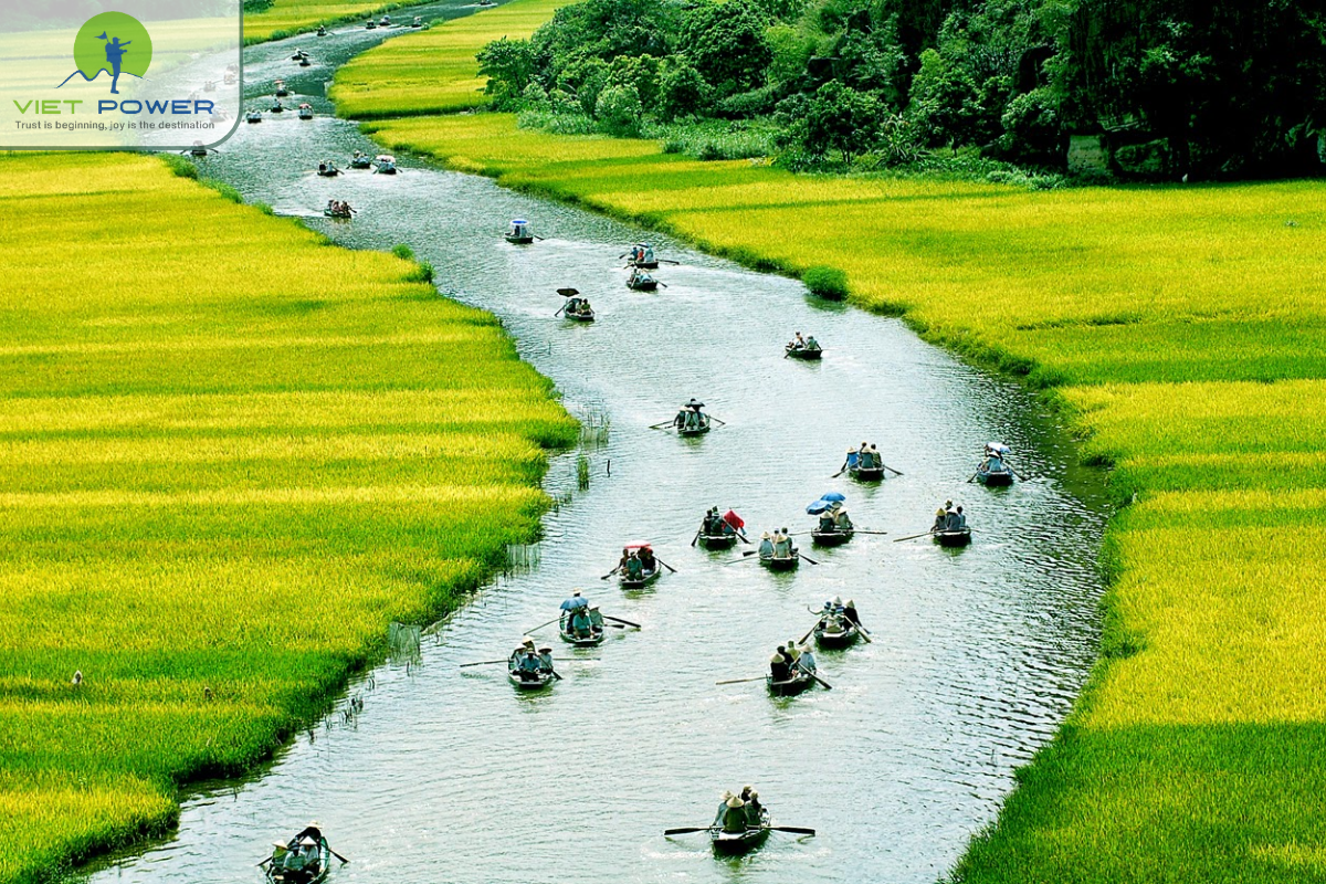 Mekong delta vietnam(2)