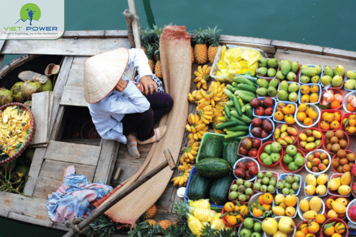 Mekong delta vietnam(8)