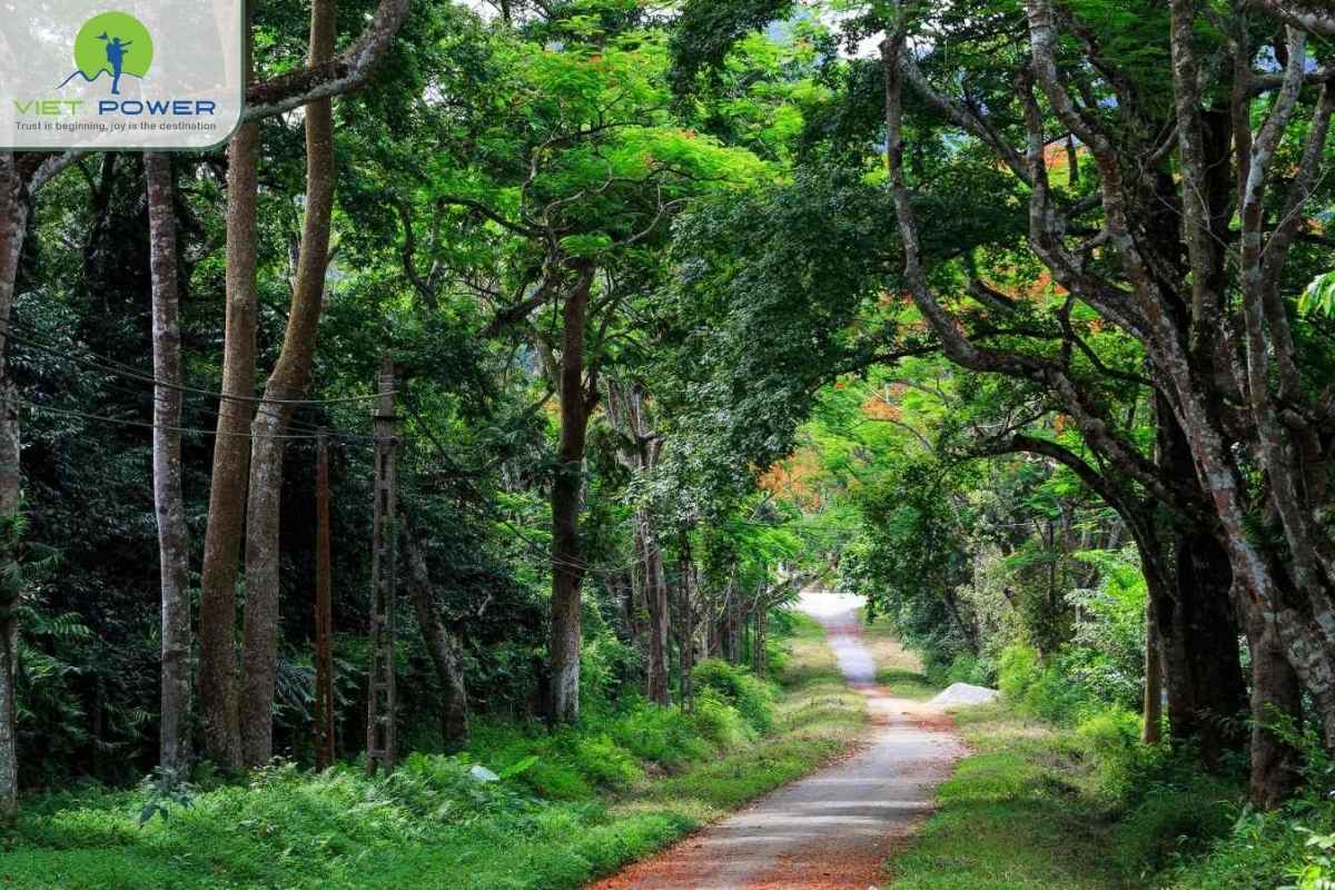 National-Park-in-Vietnam (4)