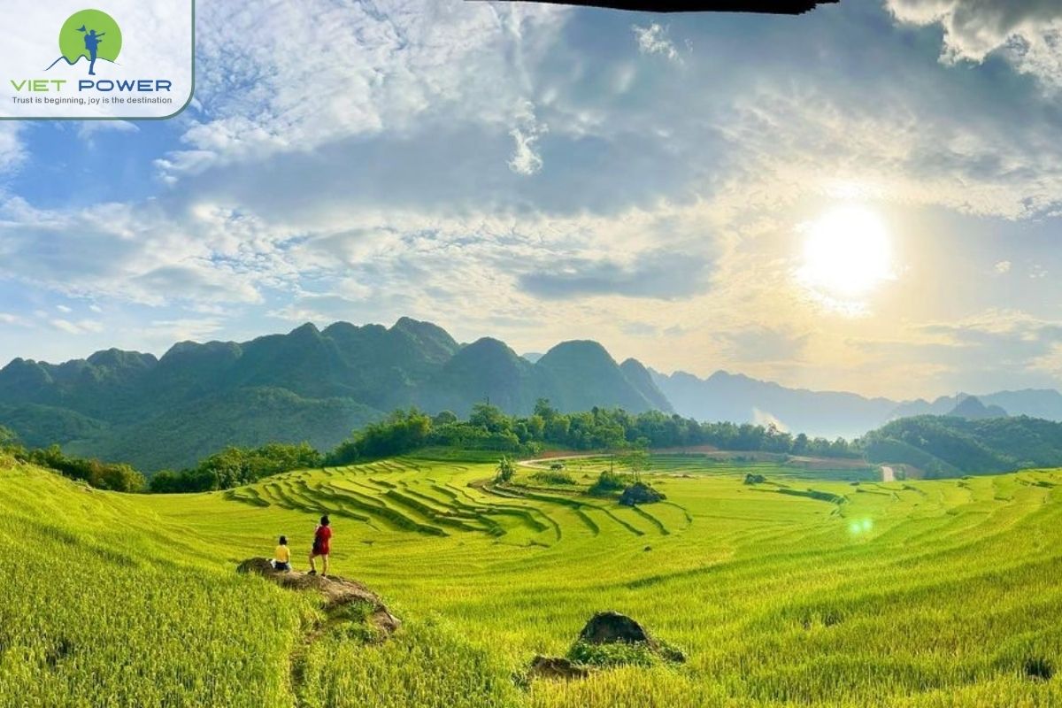 Perfect timing for rice terrace landscapes