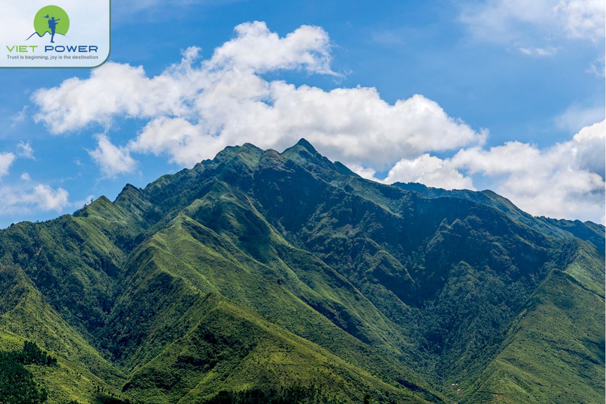 Preparation and Essential Tips