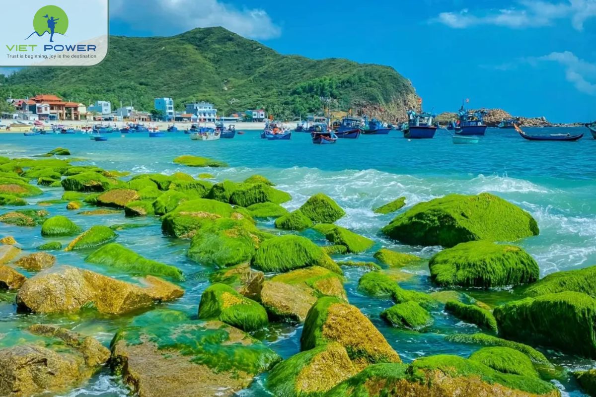 Quy Nhon in February (3)