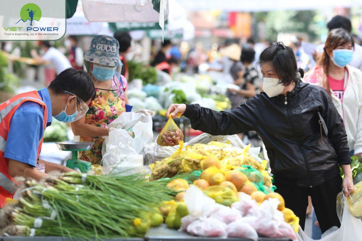 Review of Vietnamese Culture (16)