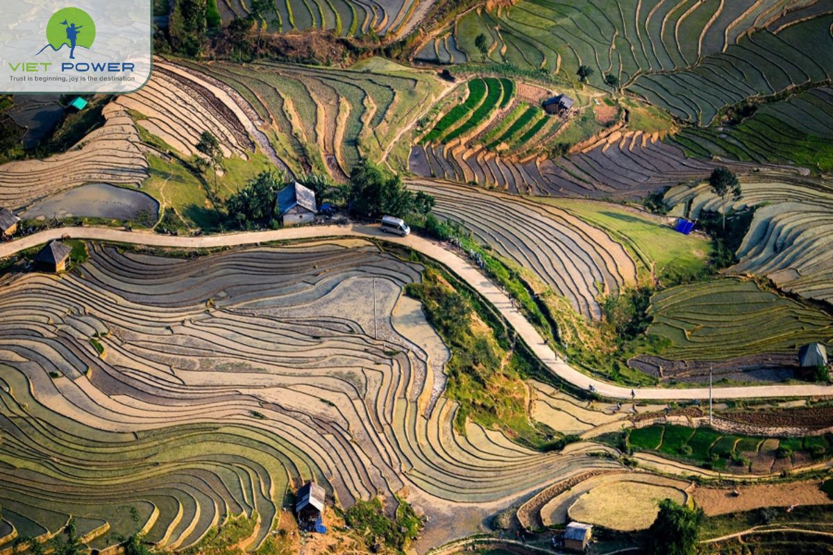 Rock Fields in Vietnam (6)