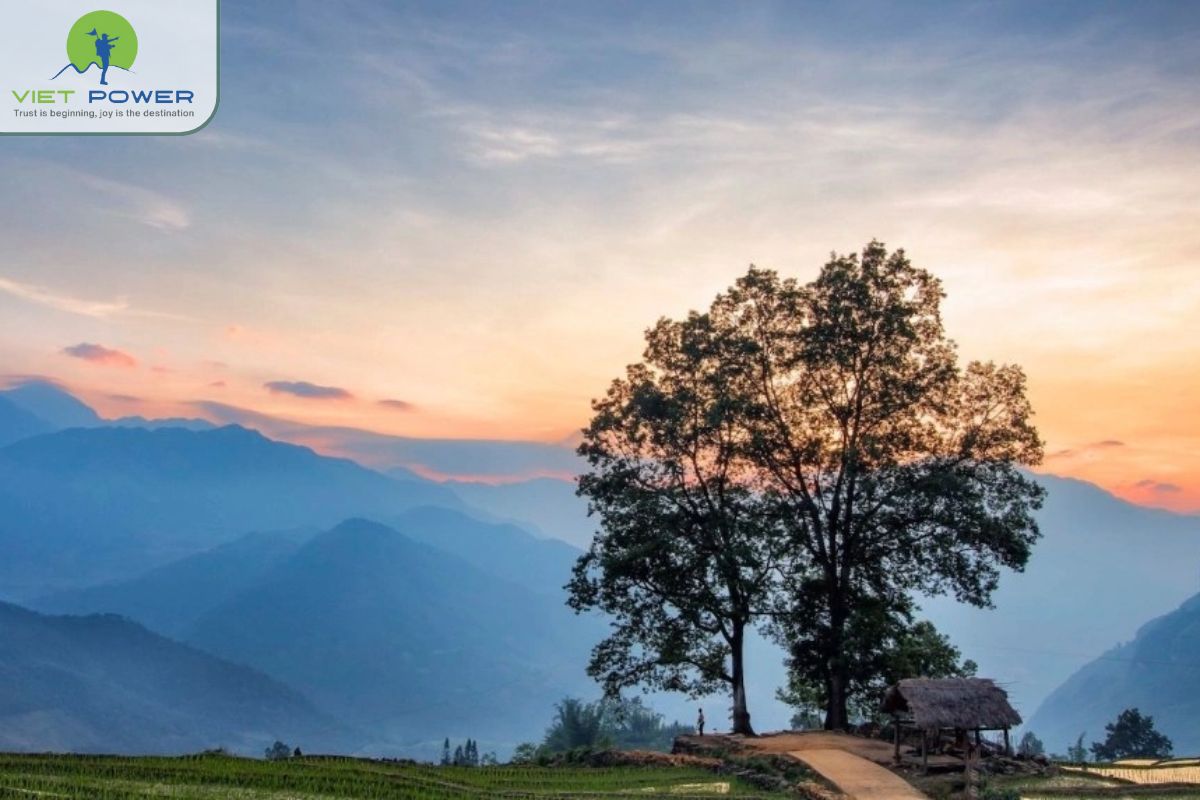 Rock Fields in Vietnam (7)