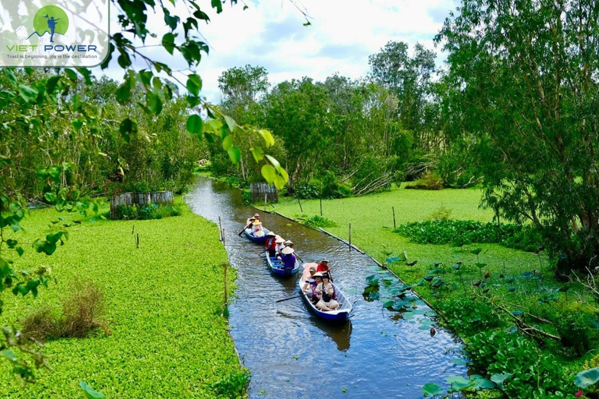 Seasonal Floating Vegetation