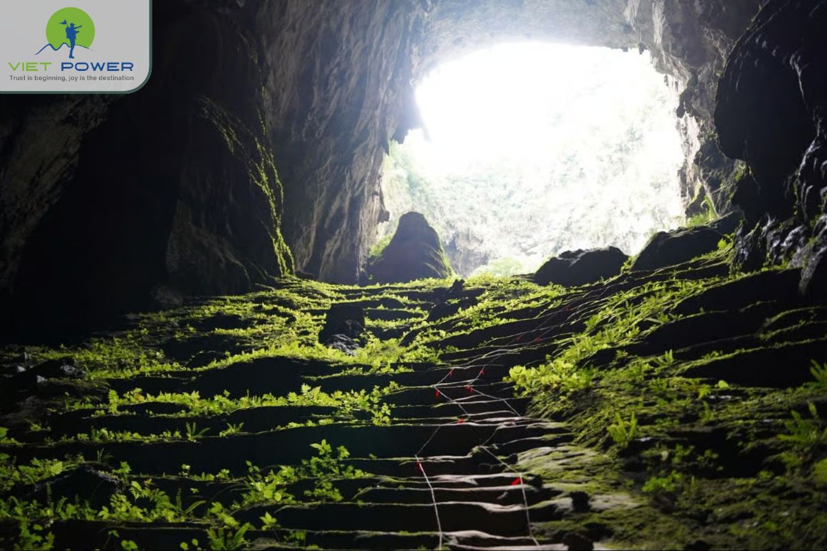 Son Doong Cave