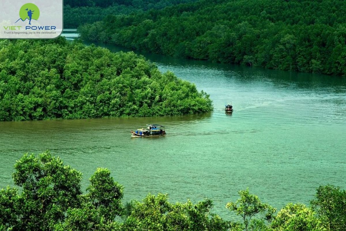 Successful restoration and sustainability model