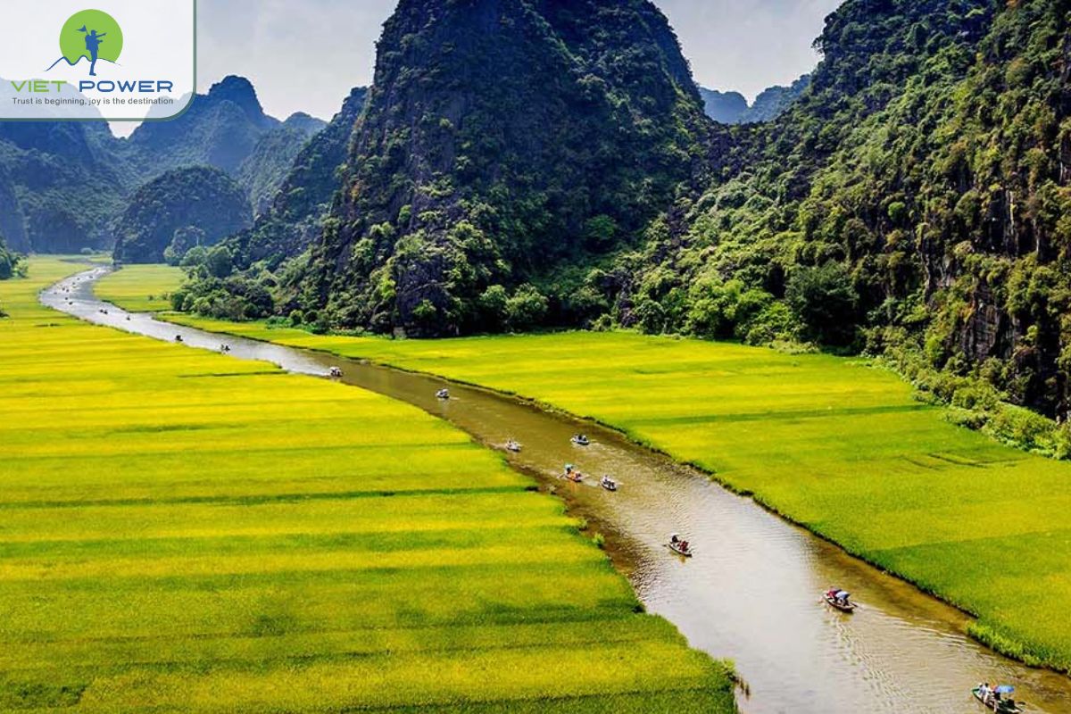 Tam Coc Rice Field